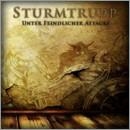 Sturmtrupp -Unter feindlicher Attacke